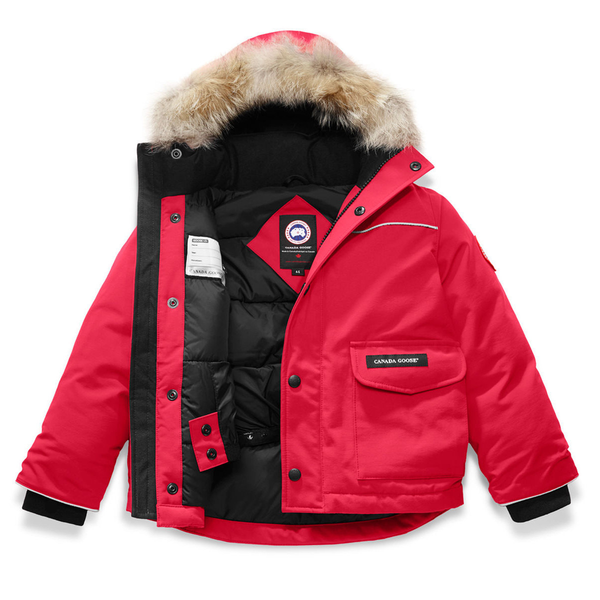 RED-02-1.jpg