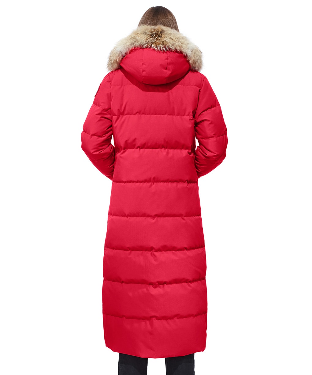 RED-04.jpg